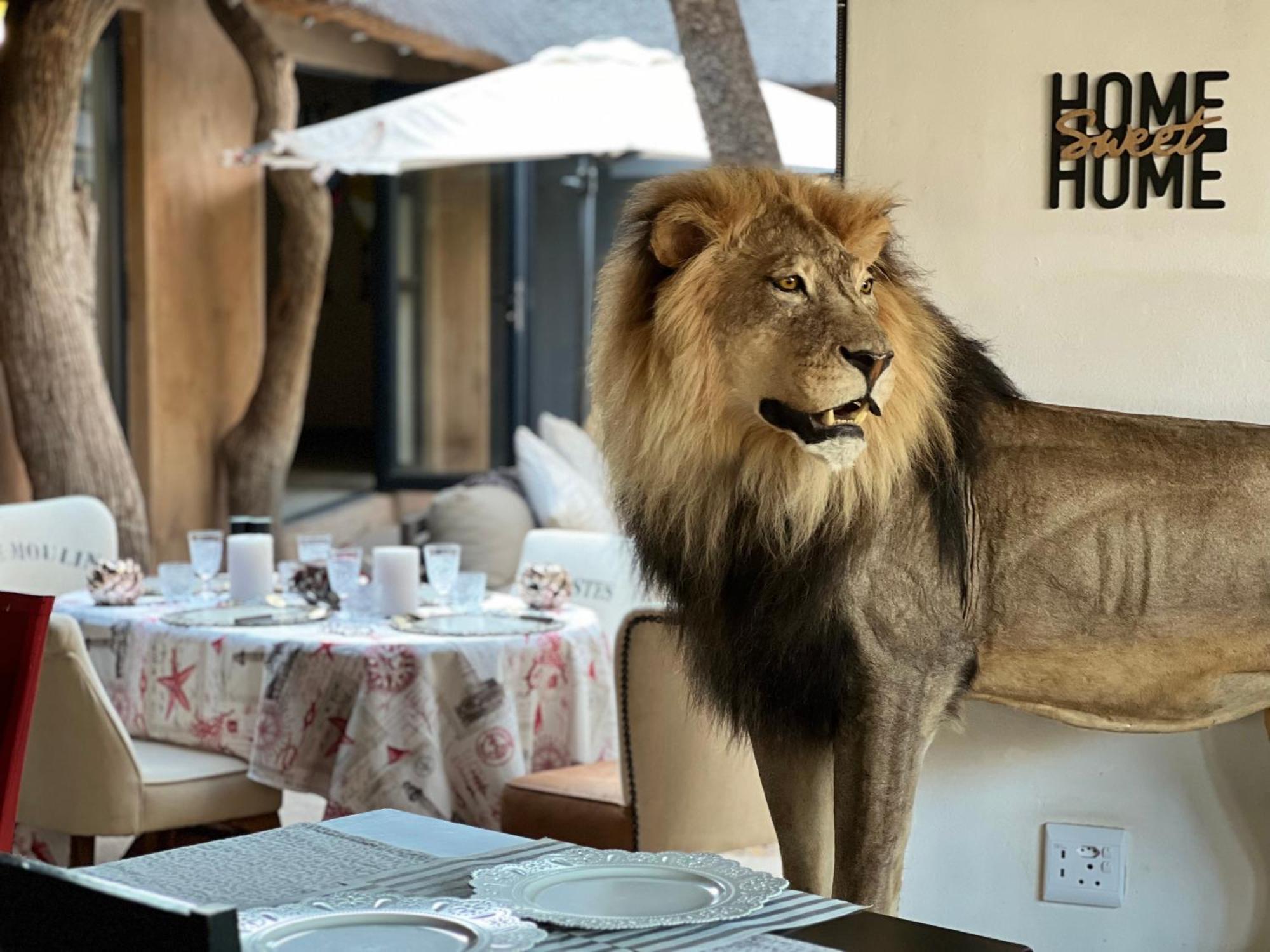 Simba Safaris African Pride Exotic Lodge Lephalale Экстерьер фото